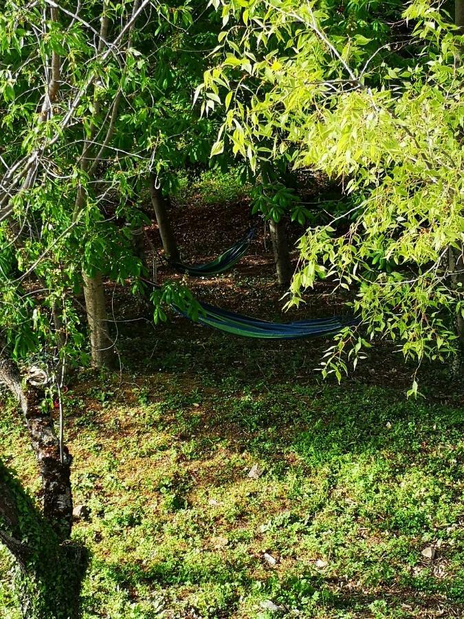 Agriturismo Il Noceto Villa Assisi Luaran gambar