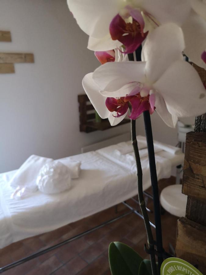 Agriturismo Il Noceto Villa Assisi Luaran gambar